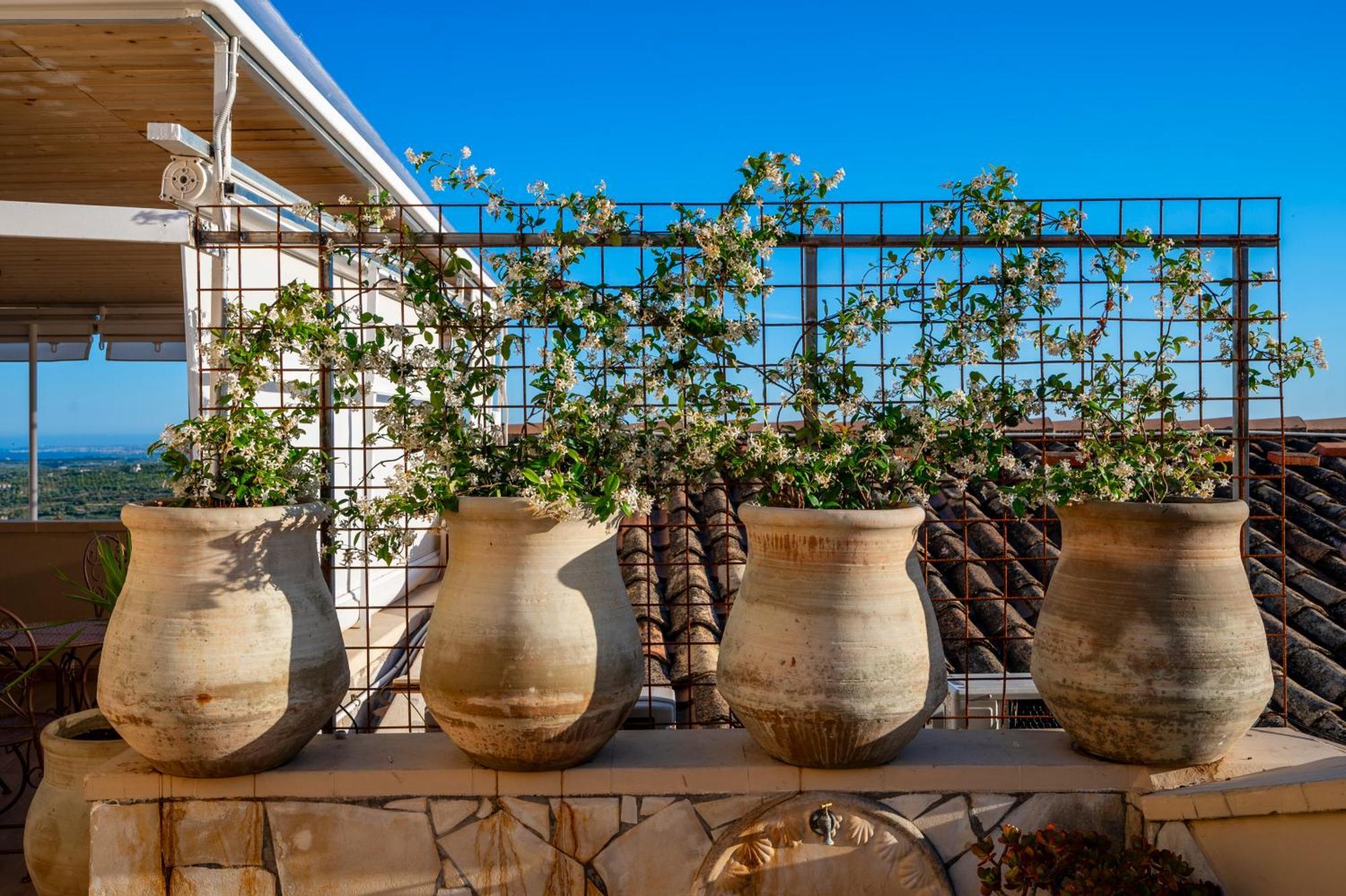 Panorama Suites Noto - Adults Only Exteriér fotografie